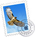 „Apple Mail“ programa